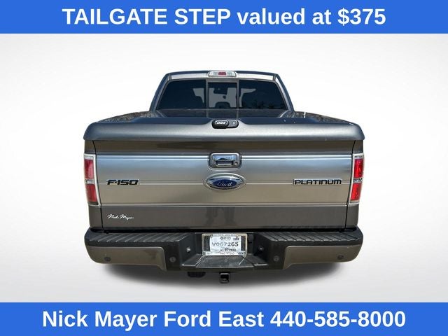2013 Ford F-150 Platinum