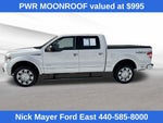 2013 Ford F-150 Platinum