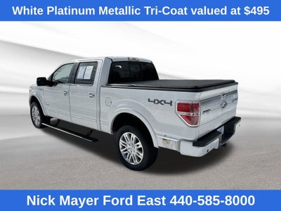 2013 Ford F-150 Platinum