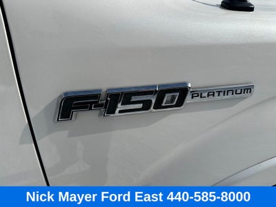 2013 Ford F-150 Platinum