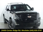 2019 Cadillac Escalade ESV Luxury